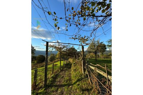 Villa a Azere, Viana do Castelo, Azere - € 120.000 | Ref: AVV-008-008 - foto 7