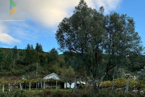 Villa a Azere, Viana do Castelo, Azere - € 120.000 | Ref: AVV-008-008 - foto 8