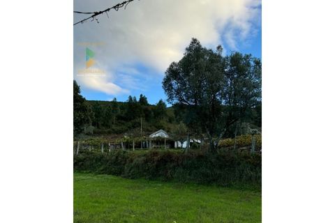 Villa a Azere, Viana do Castelo, Azere - € 120.000 | Ref: AVV-008-008 - foto 10