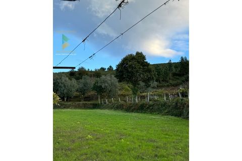 Villa a Azere, Viana do Castelo, Azere - € 120.000 | Ref: AVV-008-008 - foto 11