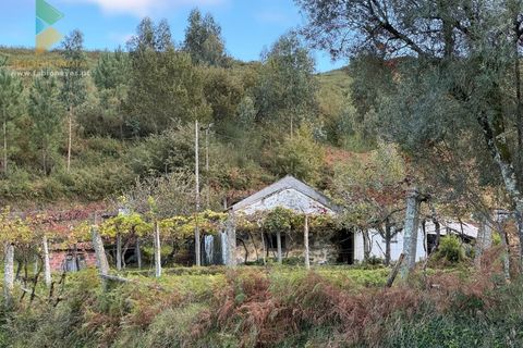 Villa a Azere, Viana do Castelo, Azere - € 120.000 | Ref: AVV-008-008 - foto 12