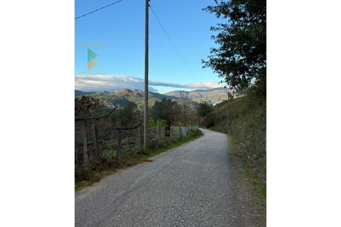 Villa a Azere, Viana do Castelo, Azere - € 120.000 | Ref: AVV-008-008 - foto 13