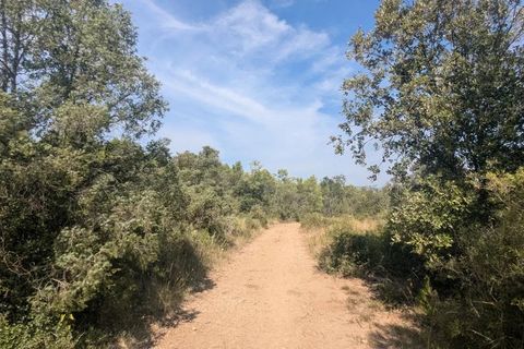 Terra a Carcès, Var, Carcès - € 22.000 | Ref: 3516 - foto 2