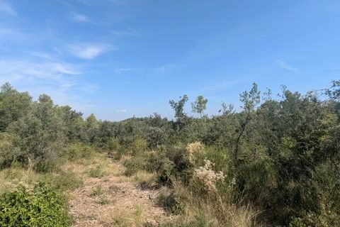 Terra a Carcès, Var, Carcès - € 22.000 | Ref: 3516 - foto 3