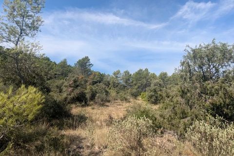 Terra a Carcès, Var, Carcès - € 22.000 | Ref: 3516 - foto 4