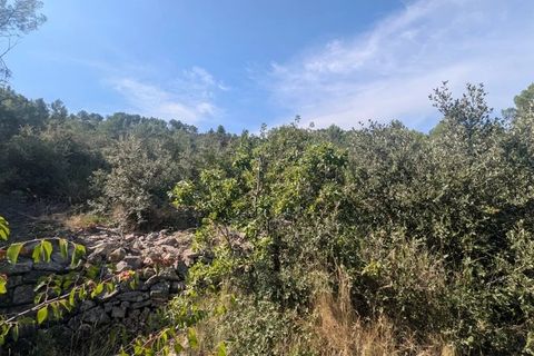 Terra a Carcès, Var, Carcès - € 22.000 | Ref: 3516 - foto 5