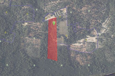 Terra a Carcès, Var, Carcès - € 22.000 | Ref: 3516 - foto 6