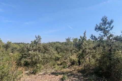 Terra a Carcès, Var, Carcès - € 22.000 | Ref: 3516 - foto 7