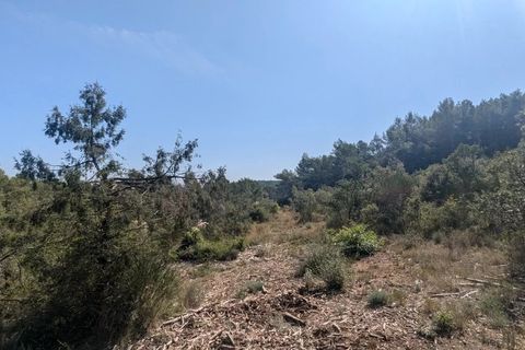 Terra a Carcès, Var, Carcès - € 22.000 | Ref: 3516 - foto 8