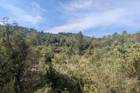 Terra a Carcès, Var, Carcès - € 22.000 | Ref: 3516 - foto 10