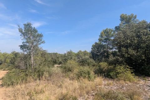 Terra a Carcès, Var, Carcès - € 22.000 | Ref: 3516 - foto 11