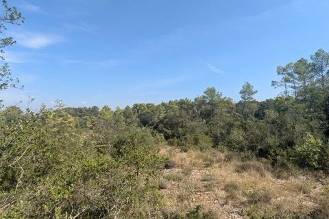 Terra a Carcès, Var, Carcès - € 22.000 | Ref: 3516 - foto 12