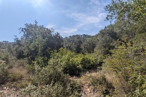 Terra a Carcès, Var, Carcès - € 22.000 | Ref: 3516 - foto 13