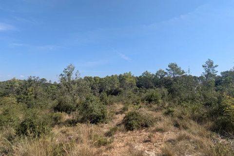 Terra a Carcès, Var, Carcès - € 22.000 | Ref: 3516 - foto 14