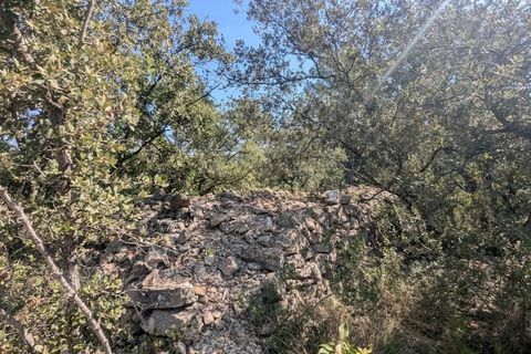 Terra a Carcès, Var, Carcès - € 22.000 | Ref: 3516 - foto 15