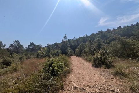 Terra a Carcès, Var, Carcès - € 22.000 | Ref: 3516 - foto 16