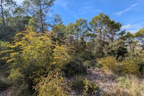 Terra a Carcès, Var, Carcès - € 9.900 | Ref: 3538 - foto 2
