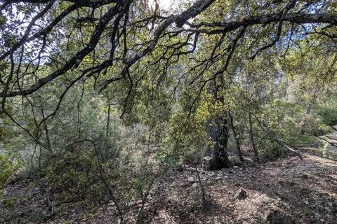 Terra a Carcès, Var, Carcès - € 9.900 | Ref: 3538 - foto 3