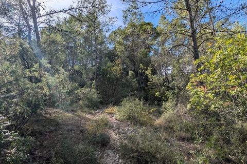 Terra a Carcès, Var, Carcès - € 9.900 | Ref: 3538 - foto 4