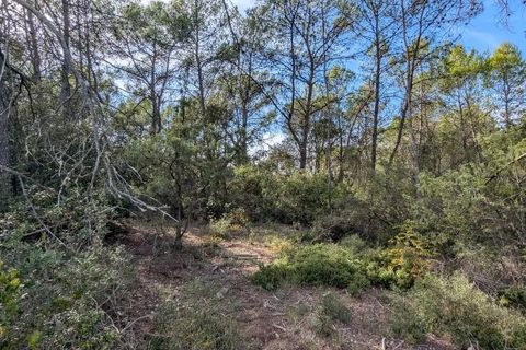Terra a Carcès, Var, Carcès - € 9.900 | Ref: 3538 - foto 5