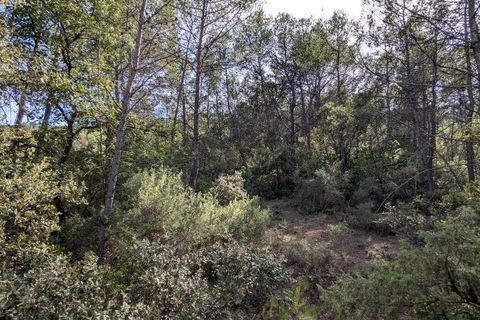 Terra a Carcès, Var, Carcès - € 9.900 | Ref: 3538 - foto 6