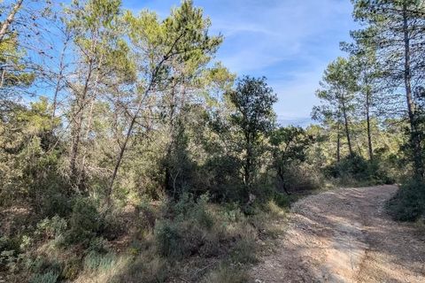 Terra a Carcès, Var, Carcès - € 9.900 | Ref: 3538 - foto 7