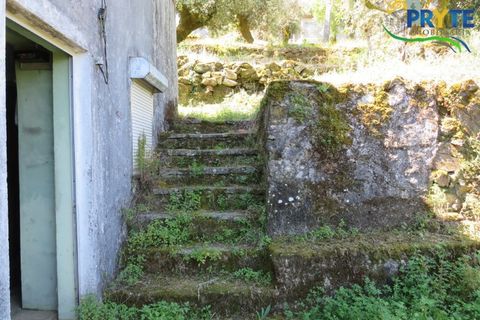 Villa i Serta, Castelo Branco, Serta - € 79.000 | Ref: AA326 - foto 20