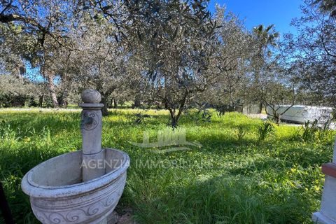Villa i Alghero, Sassari, Alghero - € 369.000 | Ref: SAR562 - foto 2