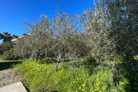 Villa i Alghero, Sassari, Alghero - € 369.000 | Ref: SAR562 - foto 6