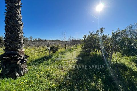 Villa i Alghero, Sassari, Alghero - € 369.000 | Ref: SAR562 - foto 8