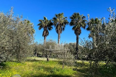 Villa i Alghero, Sassari, Alghero - € 369.000 | Ref: SAR562 - foto 9