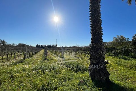 Villa i Alghero, Sassari, Alghero - € 369.000 | Ref: SAR562 - foto 11