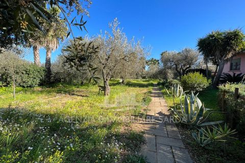 Villa i Alghero, Sassari, Alghero - € 369.000 | Ref: SAR562 - foto 31