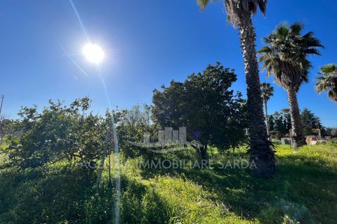 Villa i Alghero, Sassari, Alghero - € 369.000 | Ref: SAR562 - foto 32