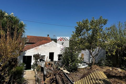 Villa i Coimbra, Coimbra, Coimbra - € 255.000 | Ref: V945MS - foto 23