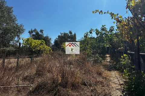 Villa i Coimbra, Coimbra, Coimbra - € 255.000 | Ref: V945MS - foto 24