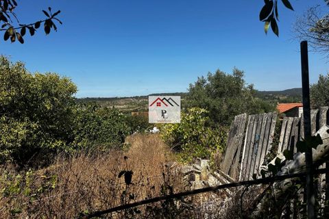 Villa i Coimbra, Coimbra, Coimbra - € 255.000 | Ref: V945MS - foto 21