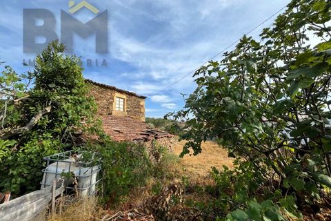 Villa i Castelo Branco, Castelo Branco, Castelo Branco - € 87.500 | Ref: 4927 - foto 6