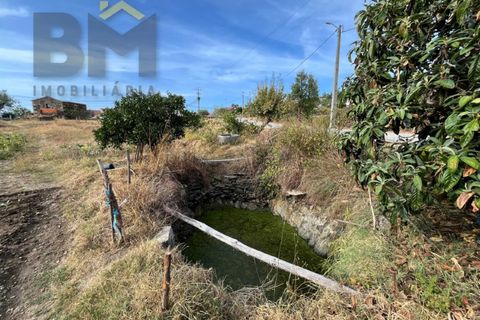 Villa i Castelo Branco, Castelo Branco, Castelo Branco - € 87.500 | Ref: 4927 - foto 10