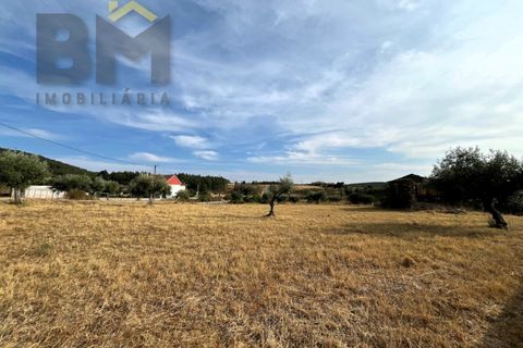Villa i Castelo Branco, Castelo Branco, Castelo Branco - € 87.500 | Ref: 4927 - foto 13