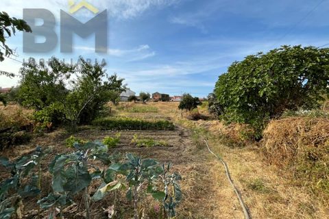 Villa i Castelo Branco, Castelo Branco, Castelo Branco - € 87.500 | Ref: 4927 - foto 15