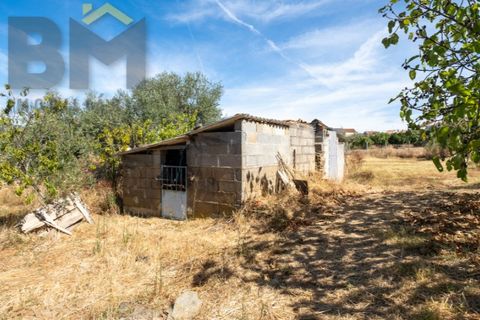 Helårsgrund i Castelo Branco, Castelo Branco, Castelo Branco - € 49.150 | Ref: 4924 - foto 9