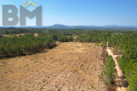 Helårsgrund i Castelo Branco, Castelo Branco, Castelo Branco - € 20.000 | Ref: 4909 - foto 3