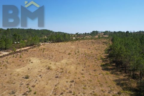 Helårsgrund i Castelo Branco, Castelo Branco, Castelo Branco - € 20.000 | Ref: 4909 - foto 4