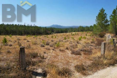 Helårsgrund i Castelo Branco, Castelo Branco, Castelo Branco - € 20.000 | Ref: 4909 - foto 5
