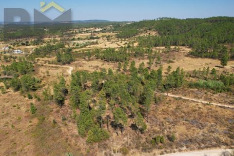 Helårsgrund i Castelo Branco, Castelo Branco, Castelo Branco - € 20.000 | Ref: 4909 - foto 10