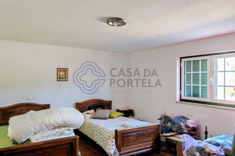 Byhus i Mangualde, Viseu, Mangualde - € 390.000 | Ref: 1108951 - foto 36