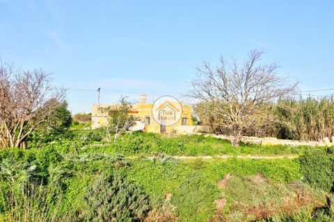 Farm i Olhao, Faro, Olhao - € 1.200.000 | Ref: TC1436 - foto 3