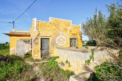 Farm i Olhao, Faro, Olhao - € 1.200.000 | Ref: TC1436 - foto 4
