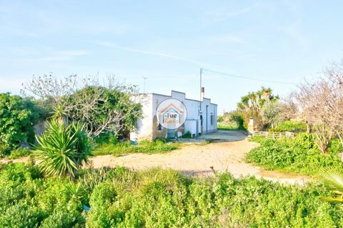 Farm i Olhao, Faro, Olhao - € 1.200.000 | Ref: TC1436 - foto 6
